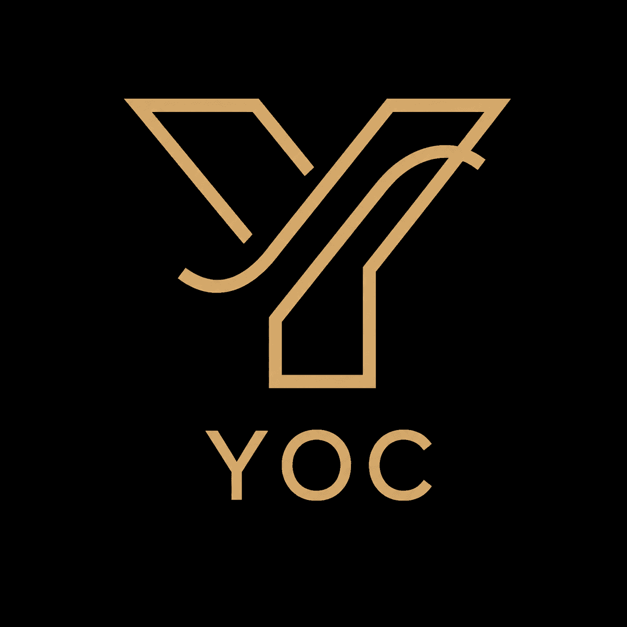 YogeshOn_Clarity logo